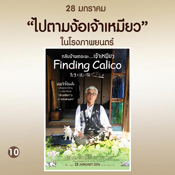 Finding Calico