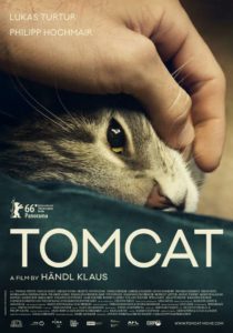 Tomcat (Kater) (2016)
