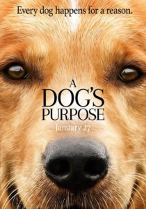 ดูหนังออนไลน์ A Dog’s Purpose เต็มเรื่อง
